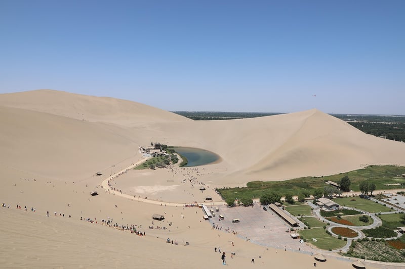 Wizards' Oasis